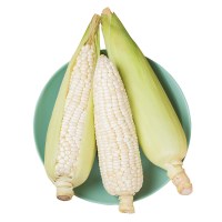 苗家十八洞 湘西白糯甜玉米10斤装 约300-600克/穗 时令新鲜蔬菜坏果包赔
