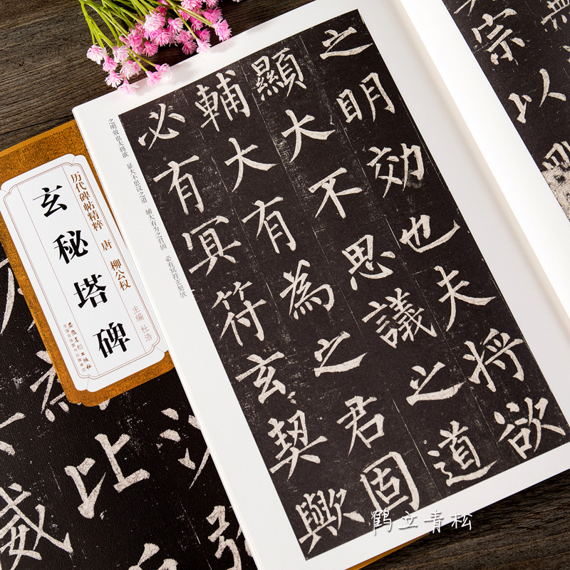 唐柳公权玄秘塔碑 柳体历代碑帖精粹 简体旁注 楷书碑帖毛笔字帖柳公权玄秘塔 书法古帖成人楷书初学者入门临摹高清大图