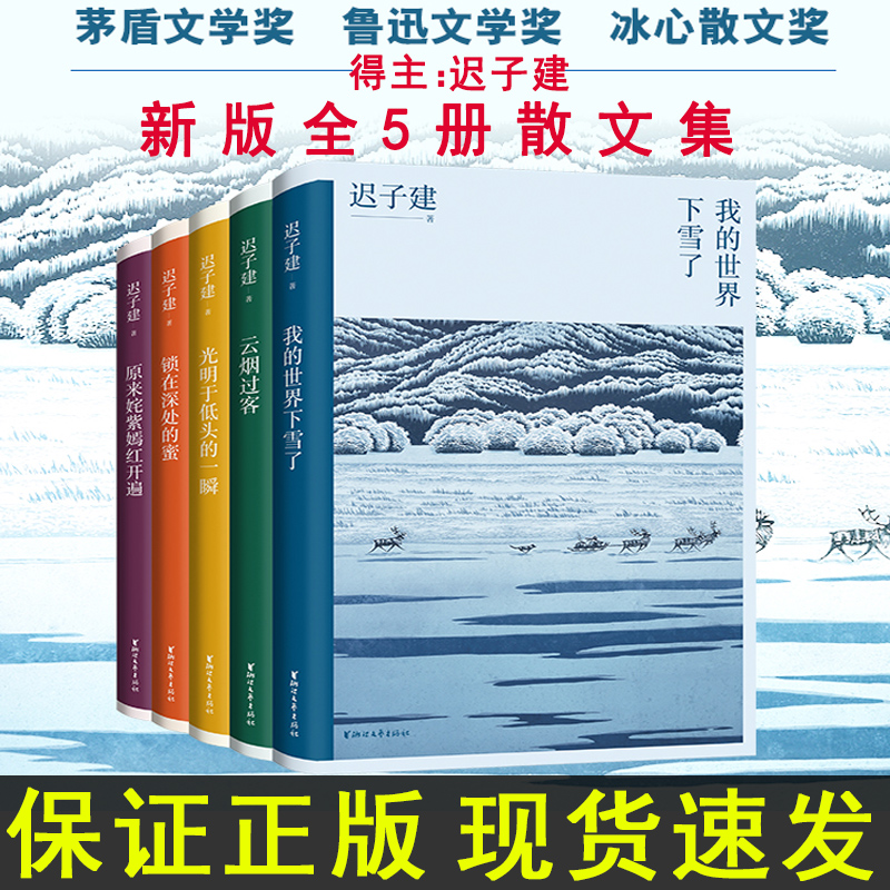 3册迟子建散文集 [正版]也是冬天也是春天 迟子建散文集原来姹紫嫣红开遍云烟过客我的世界下雪了锁在深处蜜光明于低头一瞬精高清大图