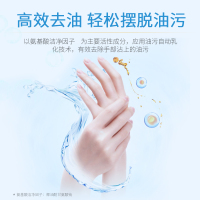 蓝月亮厨房洗手液 专业高效去油 甜橙去味 泡沫易冲洗