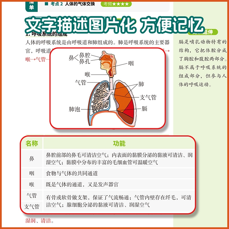[单本]秒查速记初中小四门 初中通用 [正版]秒查速记初中小四门 快速提分生物地理历史道法7-9年级全国适用书天天向上初高清大图