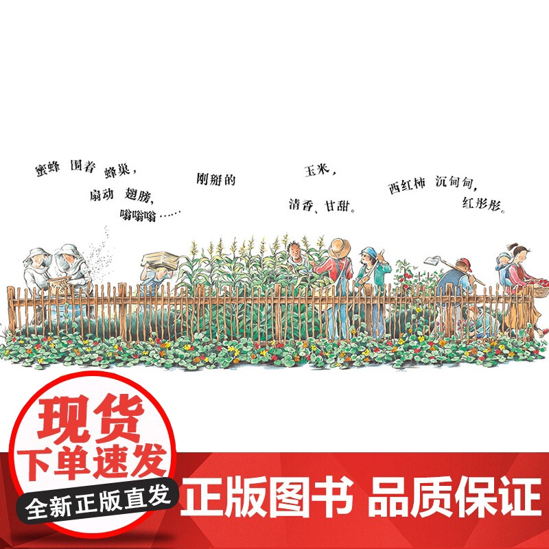 我们的世界硬壳精装图画书蒲蒲兰绘本荣凯迪克大奖作品适合1-6岁亲子阅读正版童书高清大图
