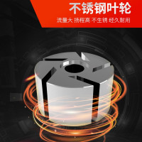 大焊电动抽油泵12V 24V 220V 抽油泵小型自动加油柴油泵抽吸油高端220v+6米软管
