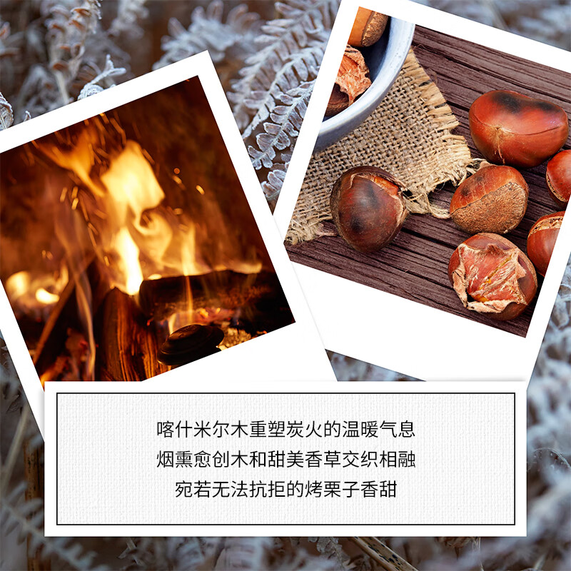 梅森马吉拉 温暖壁炉淡香水30ml高清大图