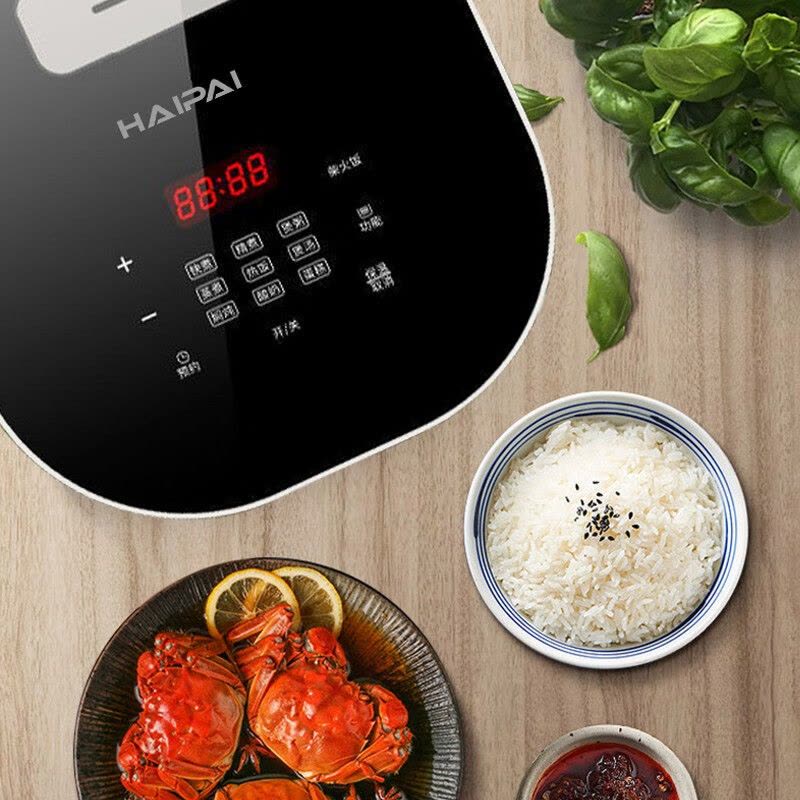 海牌(HAIPAI)电饭煲HP-FB500[象牙白] 5L大容量球釜陶瓷内胆24小时智能预约图片