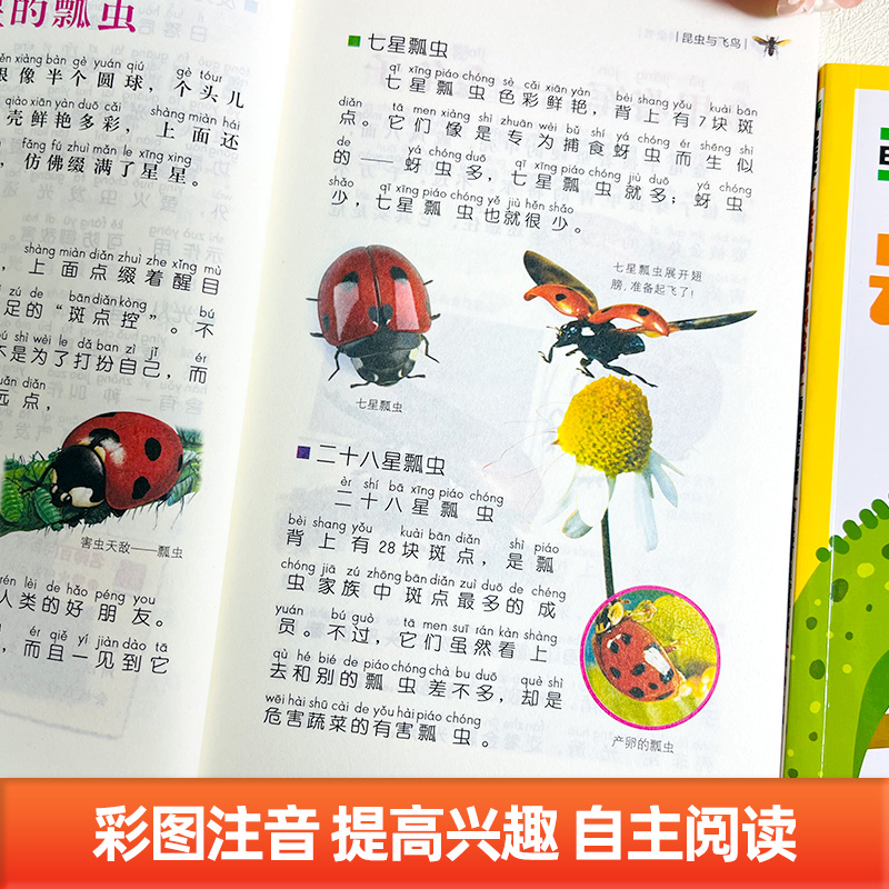 [全套8册]动物百科全书+脑筋急转弯 [正版]中国少年儿童动物百科全书共4册趣味百科全书彩图注音版小学生课外阅读书籍 幼高清大图