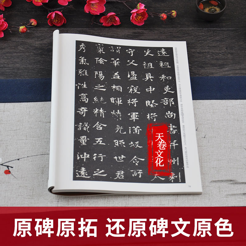 [正版]天卷 北魏 墓志铭选 历代碑帖 杜浩主编 楷书毛笔字帖书法临摹练 元桢墓志铭李壁墓志铭美人董氏墓志铭 简体旁注高清大图