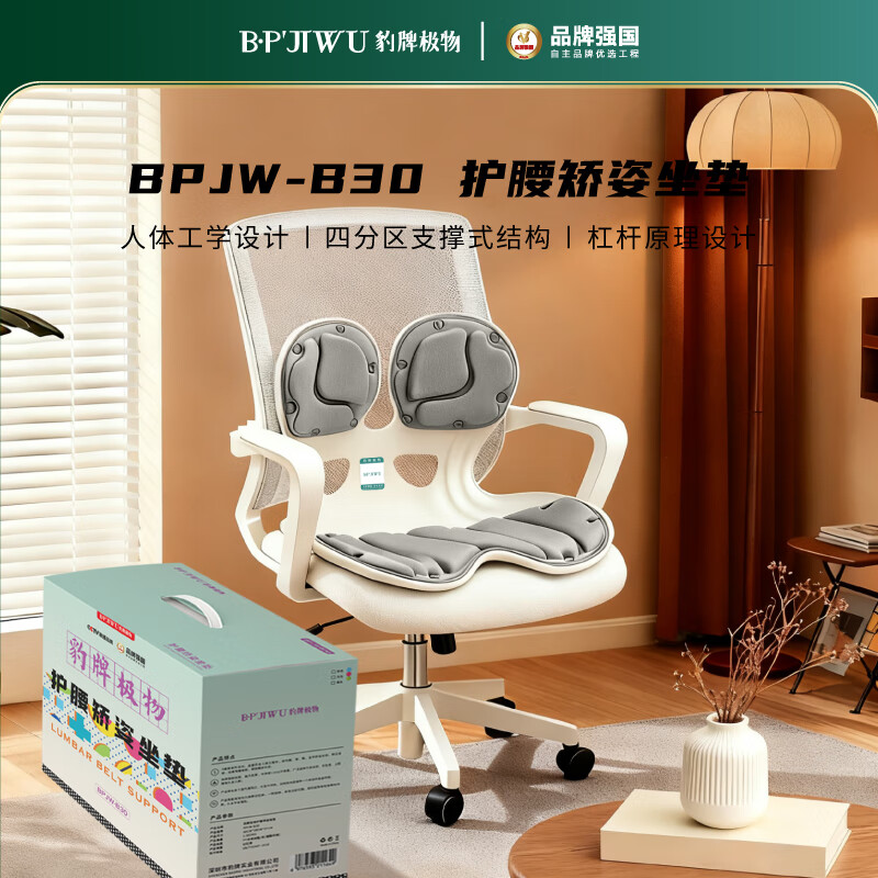 豹牌 放松护腰矫姿极物护腰矫姿坐垫 BPJW-B30