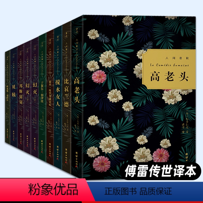 人间喜剧(全10册) [正版]人间喜剧全集 巴尔扎克小说集全10册 外国名著全集 中文版欧也妮葛朗台高老头幻灭搅水女