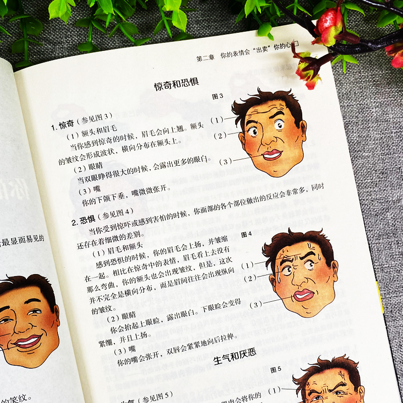 [正版]图解表情管理术 用微表情心理学读懂人性的弱点 犯罪心理学基础入门普通FBI读心术 每天懂点人情世故销售职场社交口高清大图