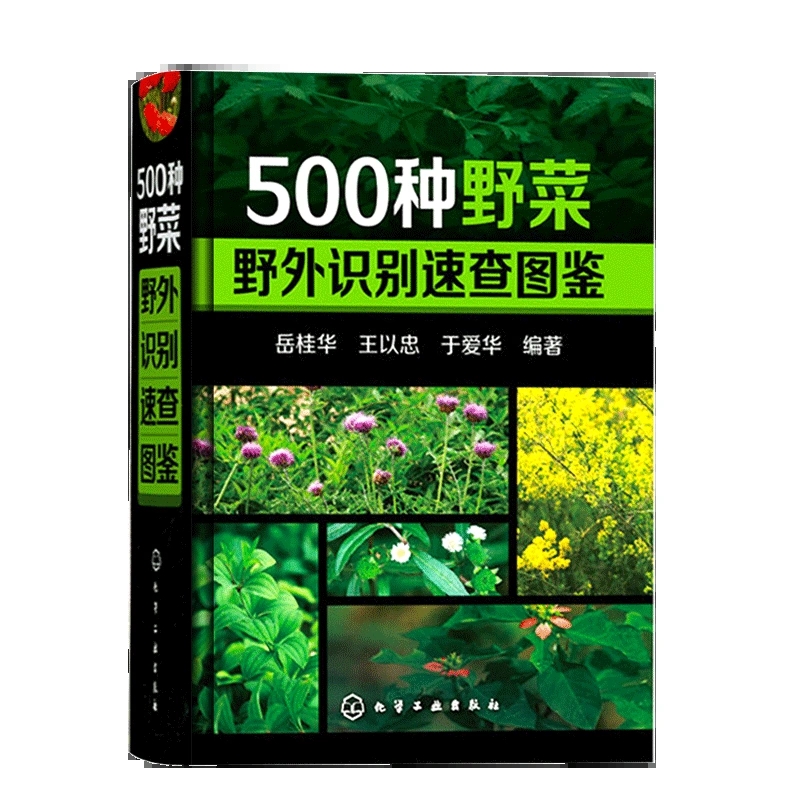 [正版]500种野菜野外识别速查图鉴 岳桂华 生物科学 生活百科书籍 植物花草识别图解书籍 植物特性药学图鉴 中医草药材高清大图