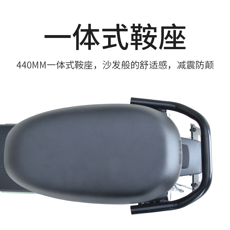 爱玛 (AIMA) 48V高速 电动轻便时尚摩托车 小木豆标准版 鎏金白/亚黑