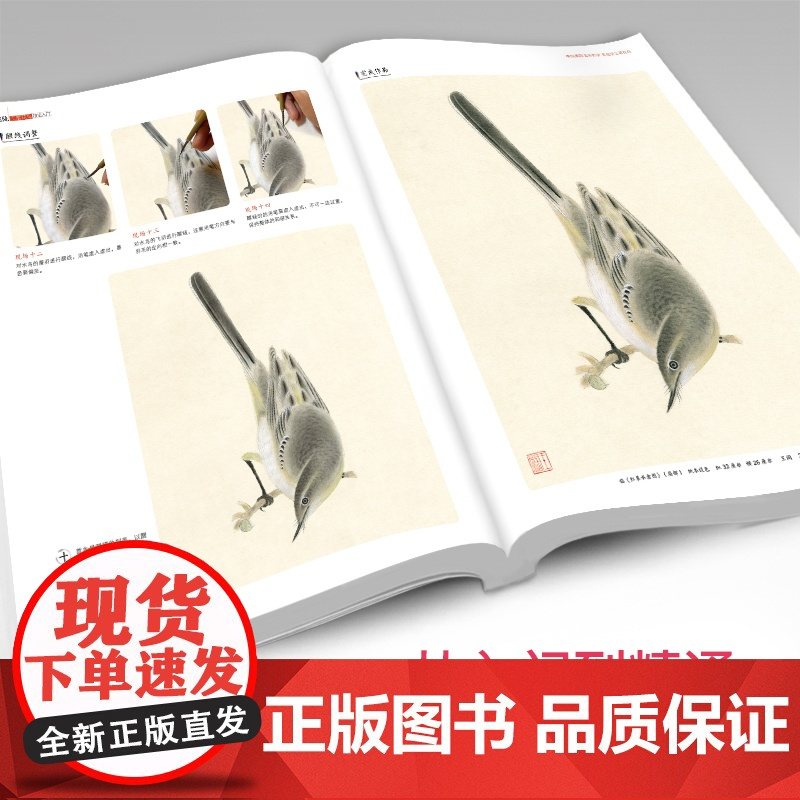 经典全集 正统工笔花鸟技法入门基础教程书籍中国工笔画稿白描勾线牡丹上色涂色宋画临摹册初自学者名家手绘教材 杨建飞主编SH
