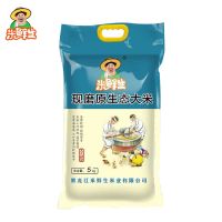 米鲜生 东北黑龙江长粒香稻花香5kg东北大米10斤装