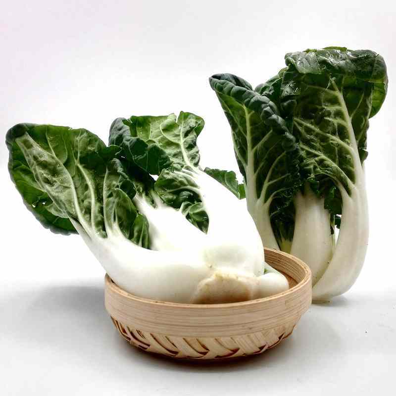 XJ】奶油白菜500g 奶白菜小白菜新鲜蔬菜日天生鲜可开发票【价格