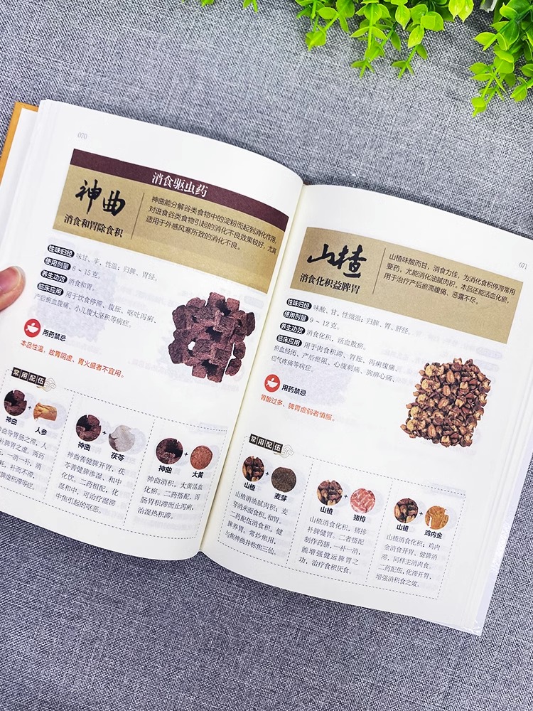 [醉染正版]中药方剂轻图典 五脏六腑调理脾虚调理中药学方剂家庭保健常见病偏方验方家常菜谱药膳大全中医养生提高免疫力中草药高清大图