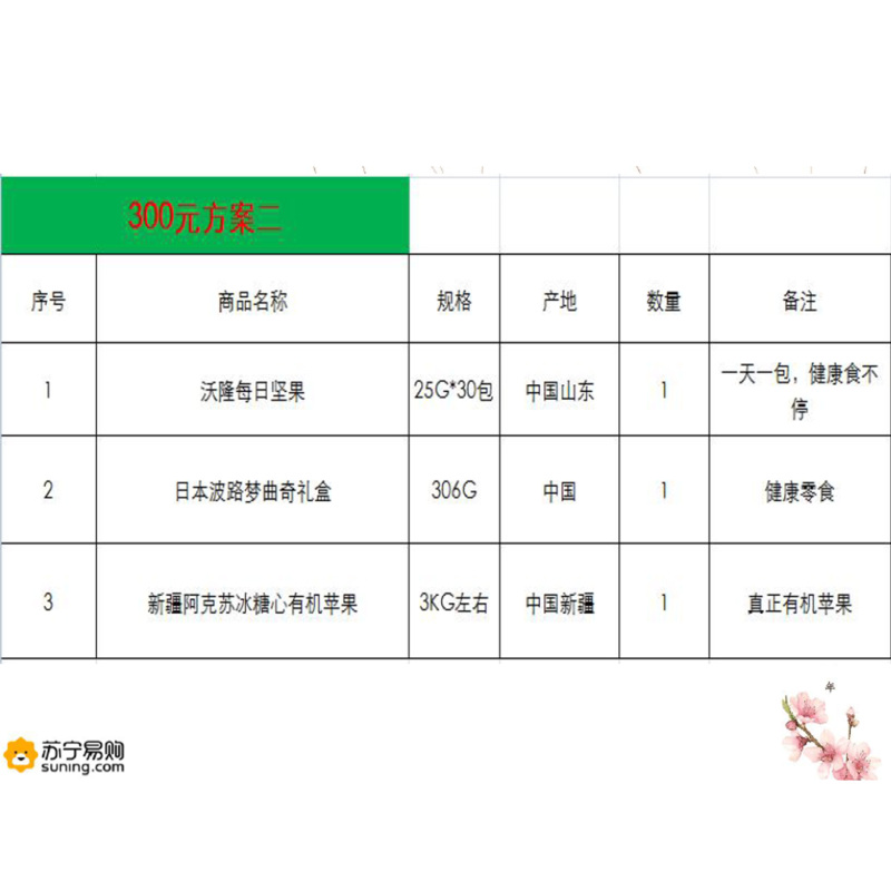 2020新春福利套装-300B