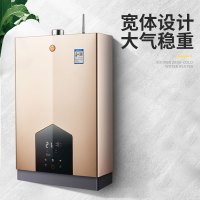 索普恩SOOPOEN 零冷水 燃气热水器天然气家用18升水气双调恒温即开即热Q系列