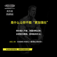 Muscletech肌肉科技健肌粉5磅乳清蛋白质粉健身瘦人增重增肥产品 香草味