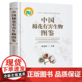 中国棉花有害生物图鉴 陆宴辉 编 9787109318403 中国农业出版9