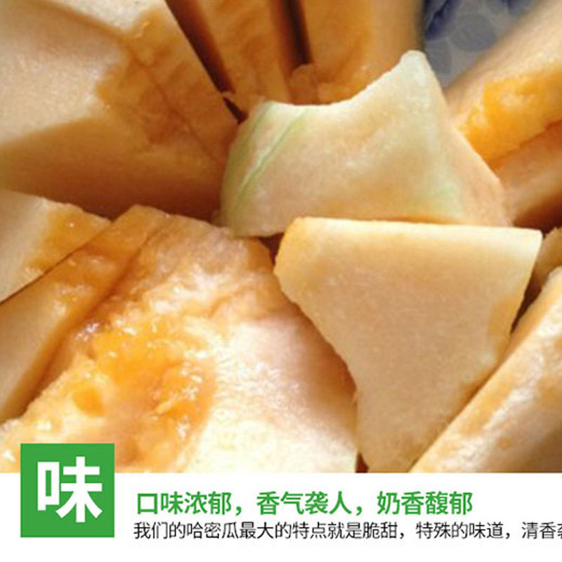 卜任舒 哈密瓜约4.5kg(包装随机发货)高清大图