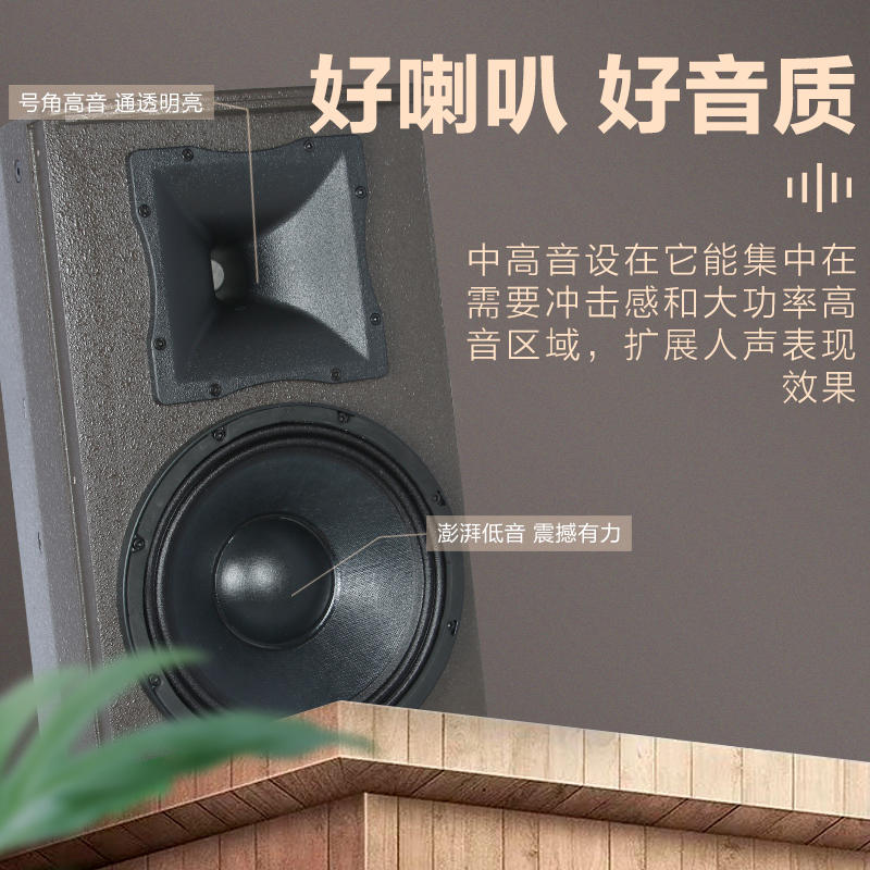 惠度(HuiDu)ET-10YF专业高端豪华全频音箱会议室舞台剧院别墅量贩式KTV酒吧会所多功能会议厅音箱系统高清大图