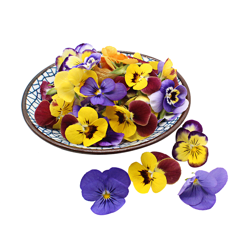 xj三色堇可食用花一盒30朵左右西餐摆盘日天装饰可开发票