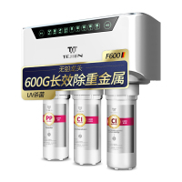 特洁恩(TEJIEN) 家用反渗透直饮双出水纯水机净水器 AF-F600