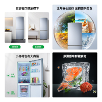 容声(Ronshen)172升 双门两门电冰箱 家用 迷你小型 宿舍租房节能 保鲜冷冻冷藏