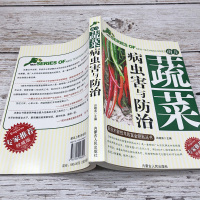 [正版]南方蔬菜种植生产加工新技术+病虫害与防治新农村新技术致富金钥匙丛书专家权威版蔬菜育苗主要蔬菜病虫害防治农药使用