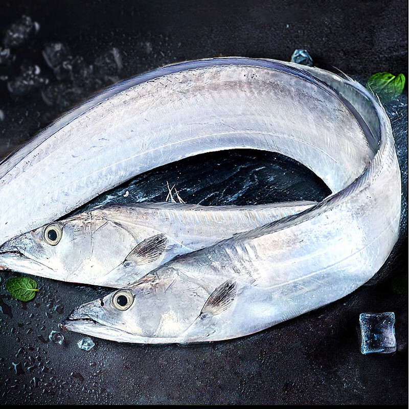海神星舟山带鱼498型2.5kg/盒 (7-9条)高清大图