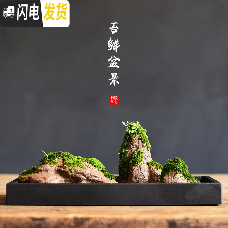 三维工匠苔藓盆栽假山吸水石盆景水培青苔造景办公室桌面净化空气花盆摆件 [肆-假山苔藓盆栽] 小花盆容器高清大图