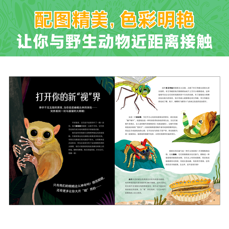 醉染图书有趣屁屁,奇怪鸟嘴 光怪陆离的动物世界9787559085993高清大图