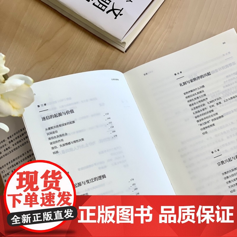 文明的逻辑 人类与风险的博弈 陈志武著 钱颖一 周黎安 张军 联袂 经济 历史发展 风险博弈高清大图