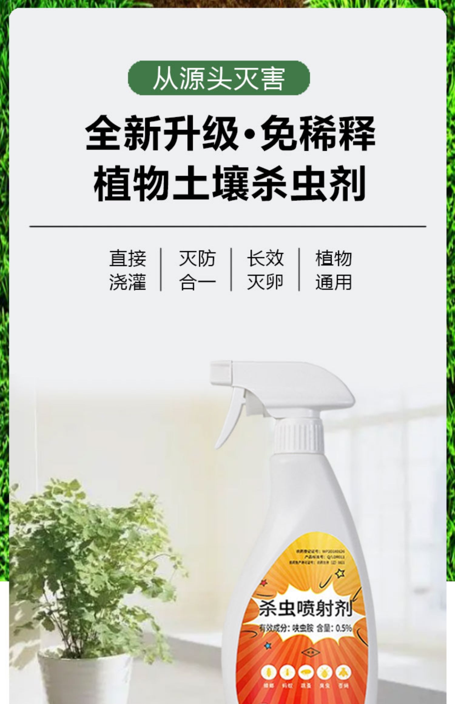 花卉植物杀虫剂杀虫药月季花土壤花盆花草除虫家用灭杀小飞虫室内高清大图