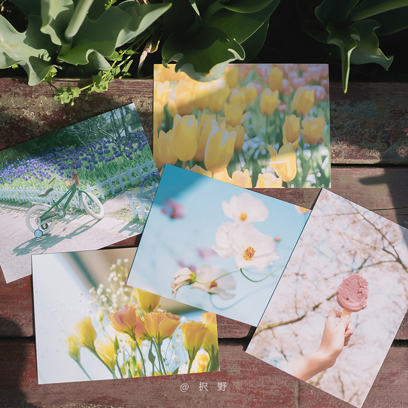 [正版]与光一起生活 摄影师@択野28张日常生活中记录捕捉到的独特风光摄影作品 清新自然日常光影出类艺术明信片创意唯美高清大图