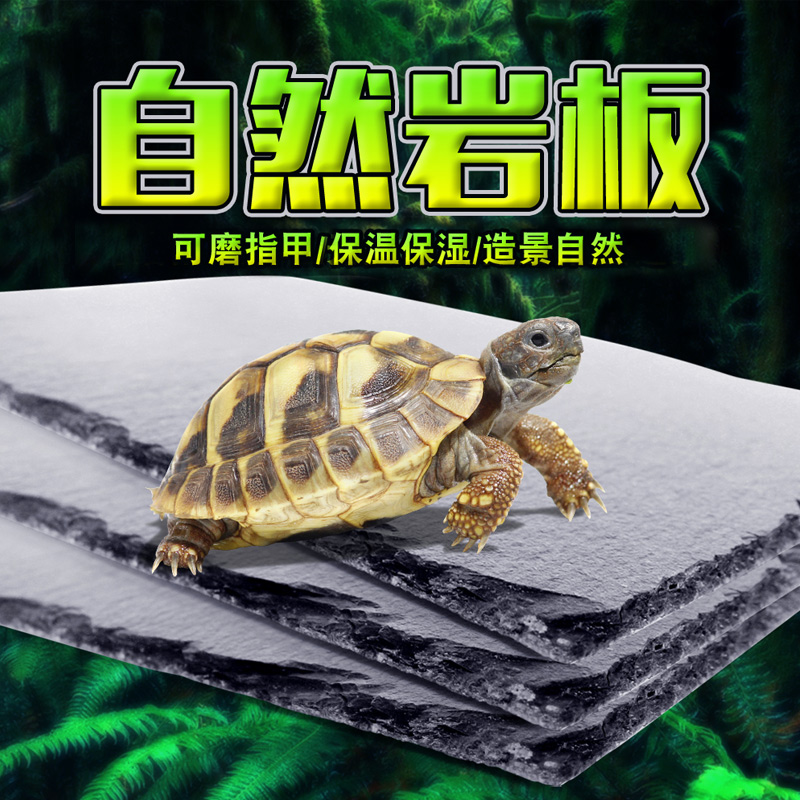 陆龟垫材自然岩石食盆食盘岩板爬宠陆龟箱爬虫蜥蜴保湿保温高清大图