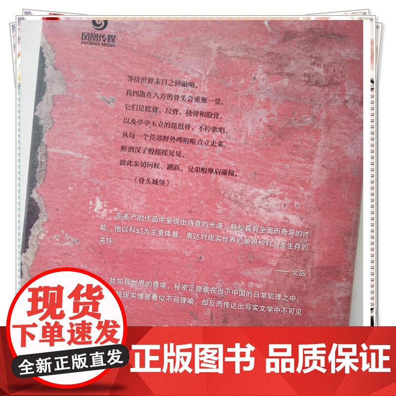 假漂亮和苍蝇拍手·韩松精选集Ⅵ(中国科幻“四大天王”之一韩松经典作品首度结集出版)高清大图