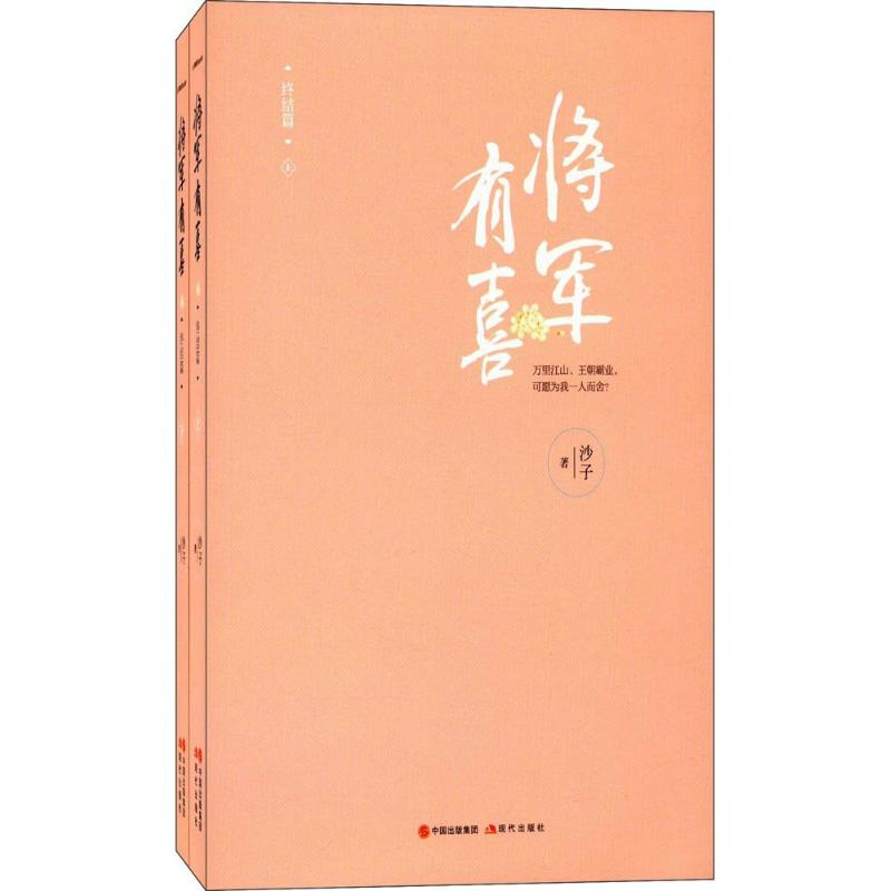 音像将军有喜沙子 著