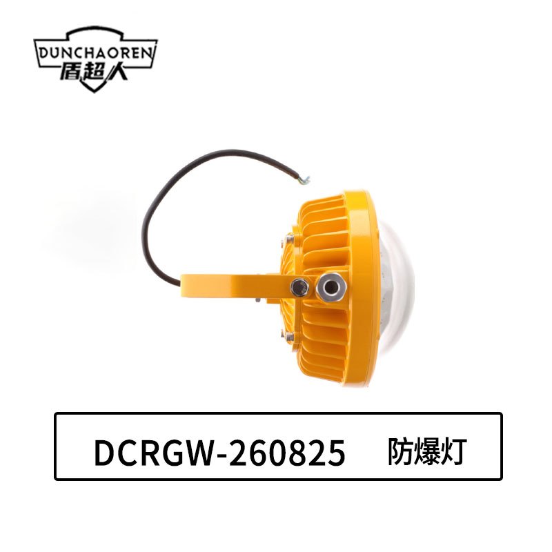 盾超人 DCRGW-260825 20W IP65 应急照明:2h 220V 白光/约5700K 防爆灯