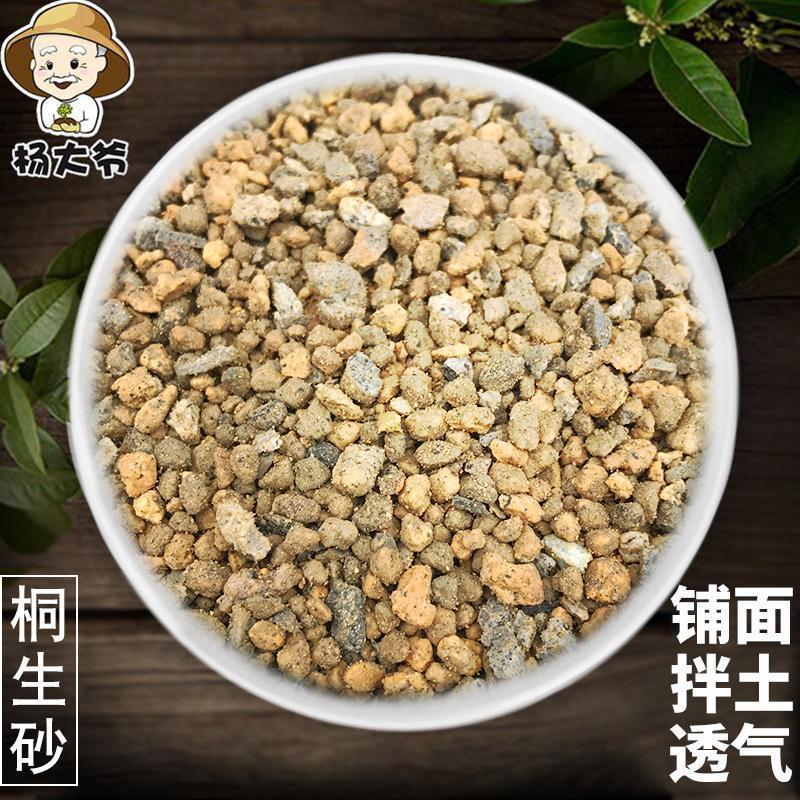 []桐生砂日本进口多肉植物种植营养土颗粒介质铺面拌土