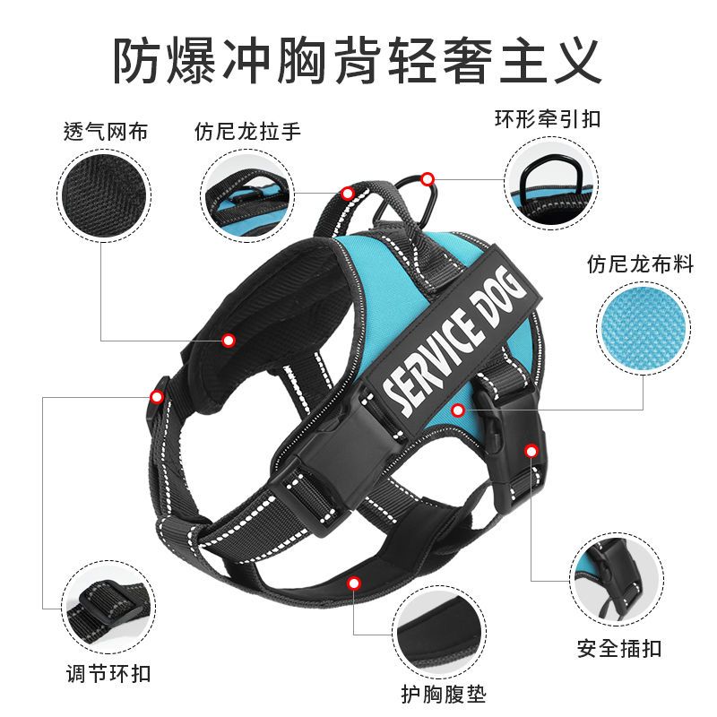 冰湖蓝[单个胸背] XS[请以实际胸围脖围选择] 狗狗牵引绳大小中型犬防爆冲溜狗链子金毛萨摩耶柯基背心式胸背带