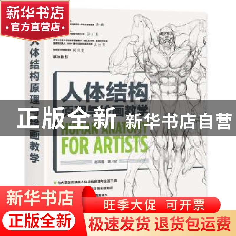 正版 人体结构原理与绘画教学 肖玮春 人民邮电出版社 9787115566