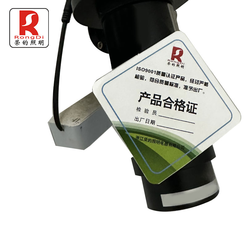 RS 镭射灯30W/个高清大图
