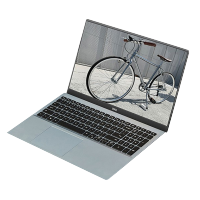 戴尔(DELL)灵越5501 1525n Urban15.6英寸笔记本电脑（十代i5 4G 256G MX330 2G）绿色