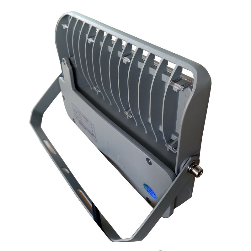 领航电器(LHDQ) LHE2365/G LED应急投光灯 30W 冷光 220V 应急时间120min IP65