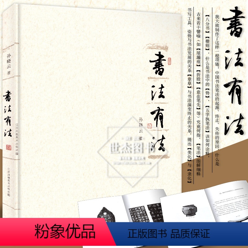 [正版] 书法有法 平装 孙晓云书法作品集精选 中国传世书法技法教程 鉴赏导读名家作品经典书法文化分析与训练典籍书法理