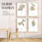 [合金框]山西省(60.4*40.4cm) [正版]北斗2024年中国分省地图挂图带木框 北京天津广东山东河南河北湖北湖