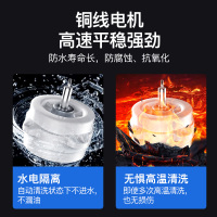 [国标顶配]新飞欧式抽油烟机家用吸烟机大吸力自清洁直吸式脱排油烟机单机顶吸式单烟机平吸式t型排烟罩 仙风