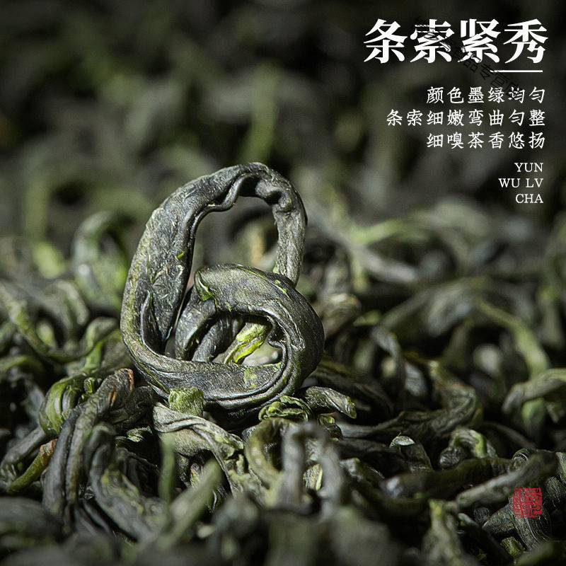 云雾绿茶 新茶明前花果香春茶浓香型耐泡送礼盒装400g